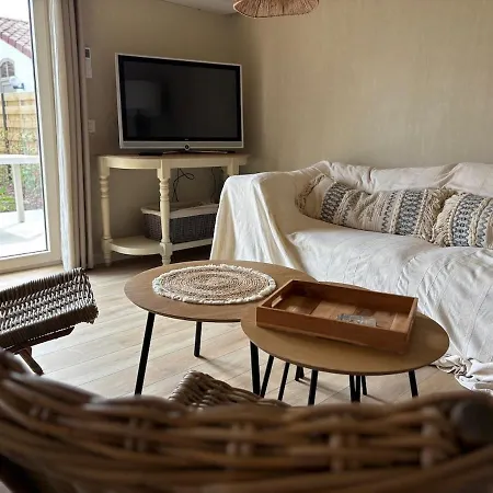 Cozy Dune In