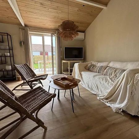 Cozy Dune In